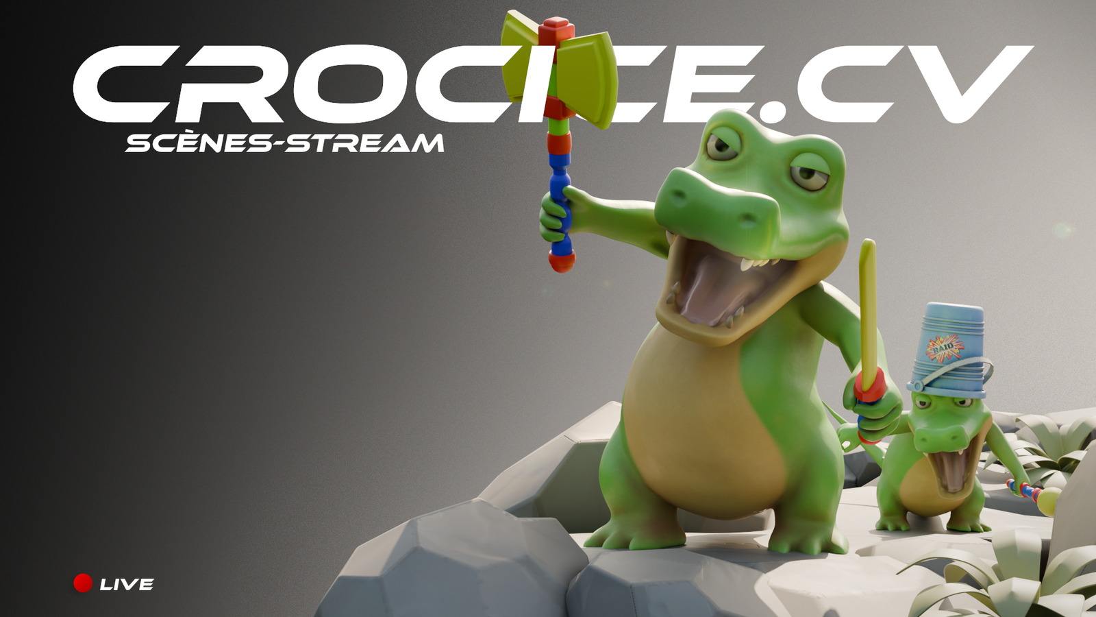 Projet de Spot Publicitaire